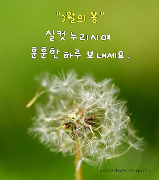 3월의-봄