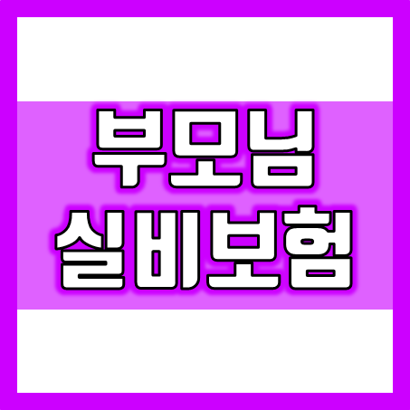  부모님 실비보험 가입, 가격 비교부터 상황에 맞는 추천 회사 정보까지 한 번에!