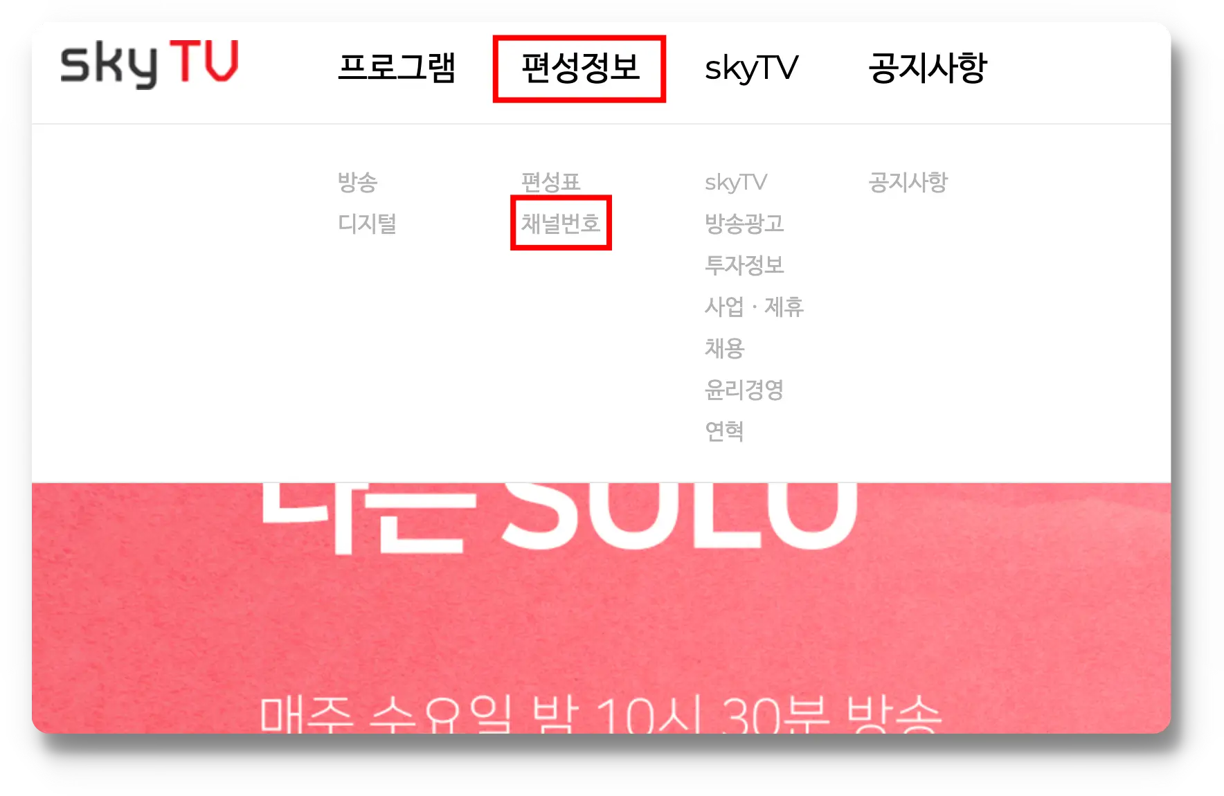 skyTv 메인페이지