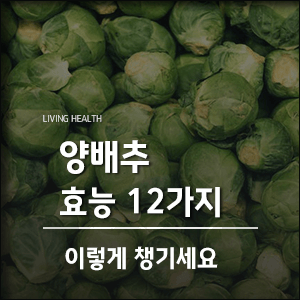  양배추 효능 12가지, 이렇게 챙기세요