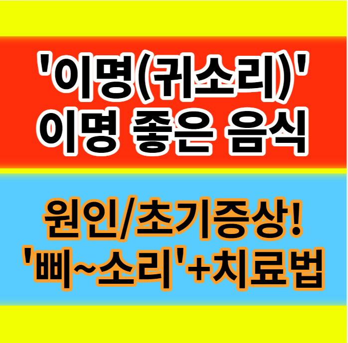  이명 원인 초기증상 귀에서 삐소리+먹먹함 치료 방법 이명에 좋은음식 정보