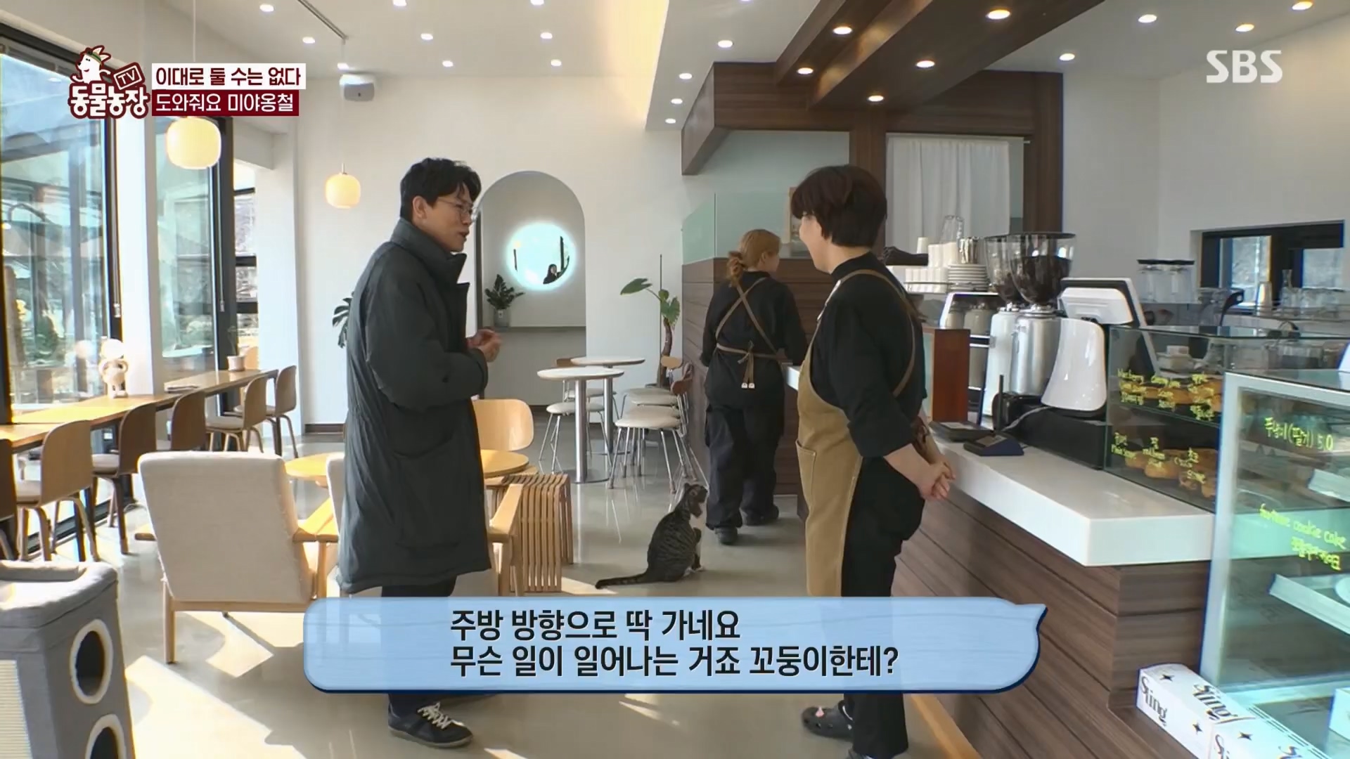 TV 동물농장.E1159.240218p.H264-F1RST.mp4_20240218_170008.272.jpg