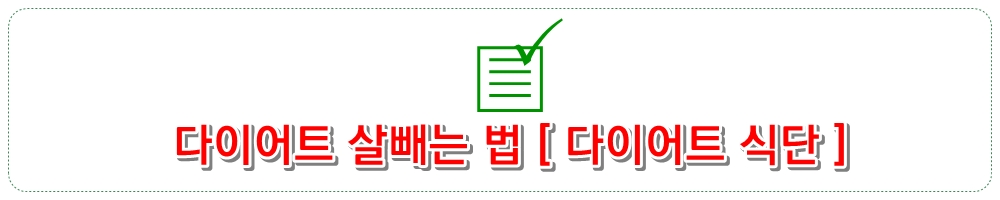 다이어트 살빼는 법 [다이어트 식단]