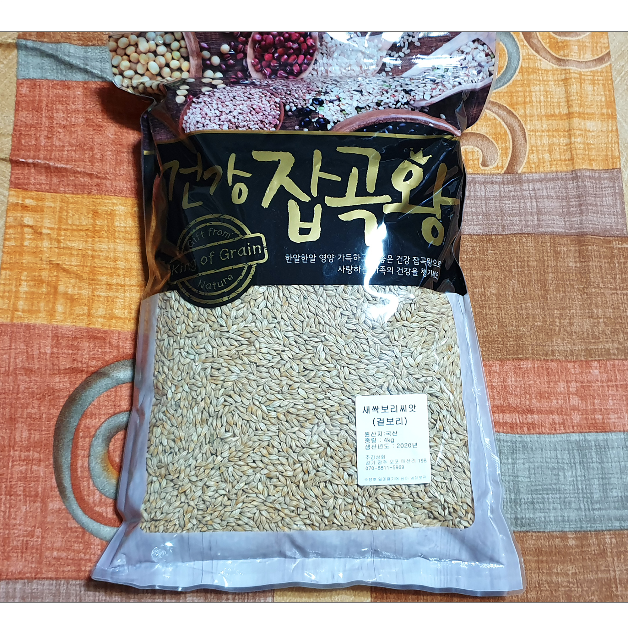새싹보리 키우기