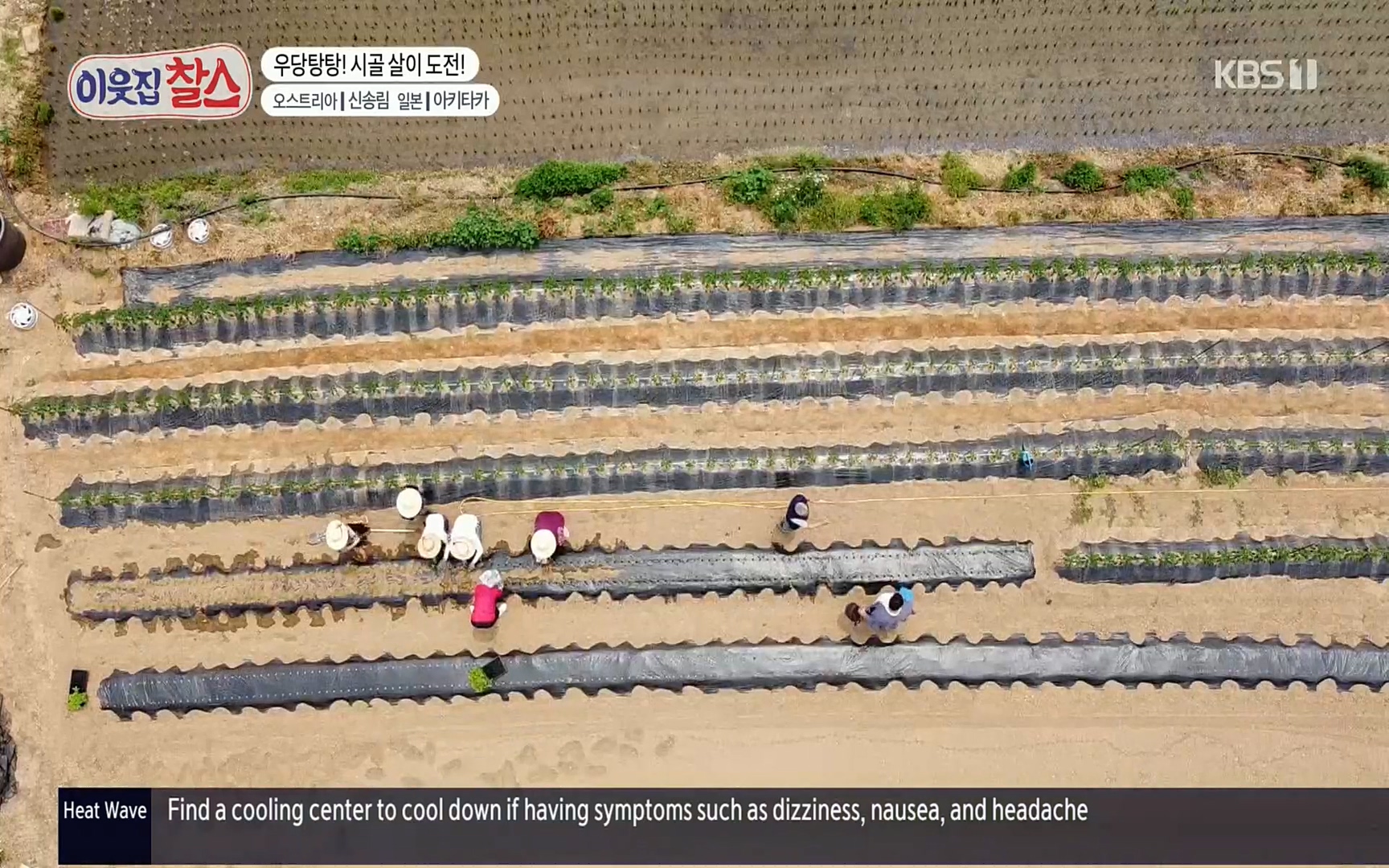 이웃집 찰스.E349.220802p.H264-F1RST.mp4_20220803_205124.491.jpg