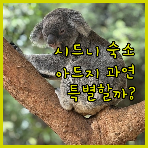 아드지 아파트먼트, 시드니 여행의 특