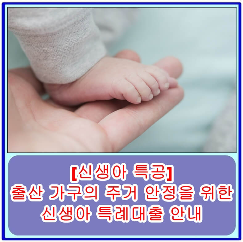 출산 가구의 주거 안정을 위한 신생아 특례대출 안내