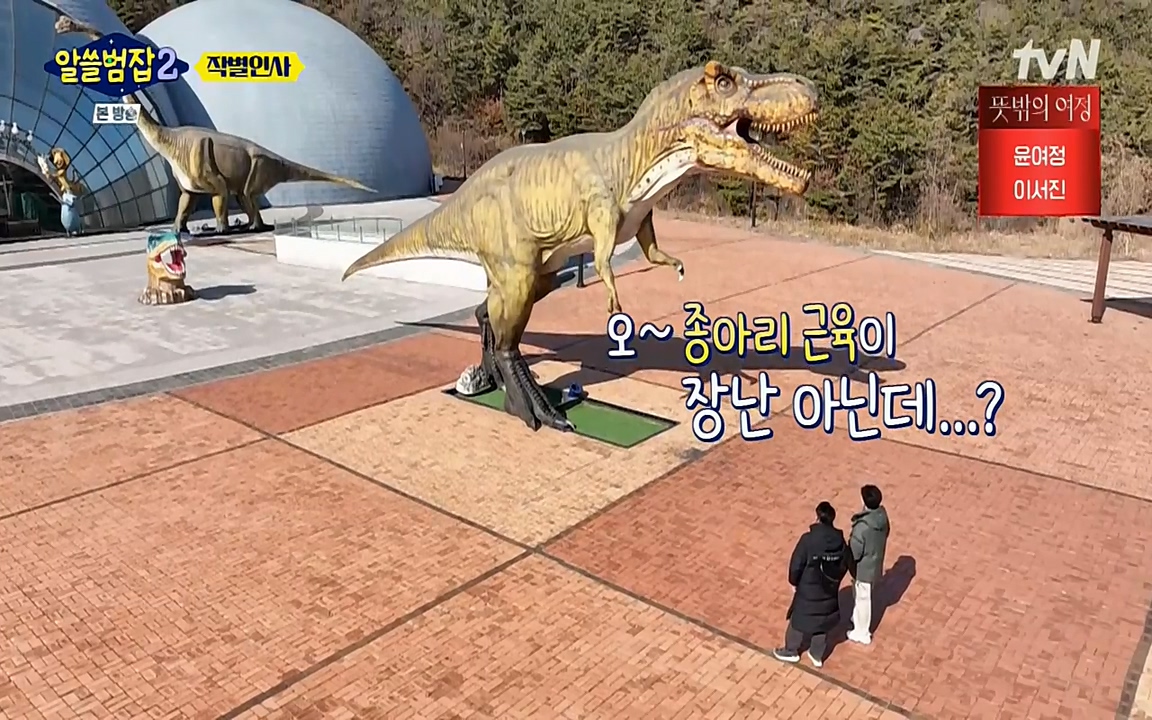 알쓸범잡 2.E16.220502p-NEXT.mp4_20220502_184501.921.jpg