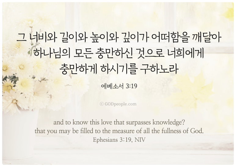 너비의깊이 이미지
