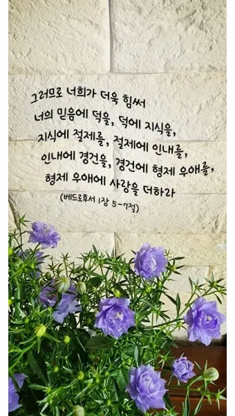 베드로후서 3장 9절 묵상 - 주의 약속은 어떤 이들이 더디다고 생각하는 것 같이 더딘 것이 아니라_13