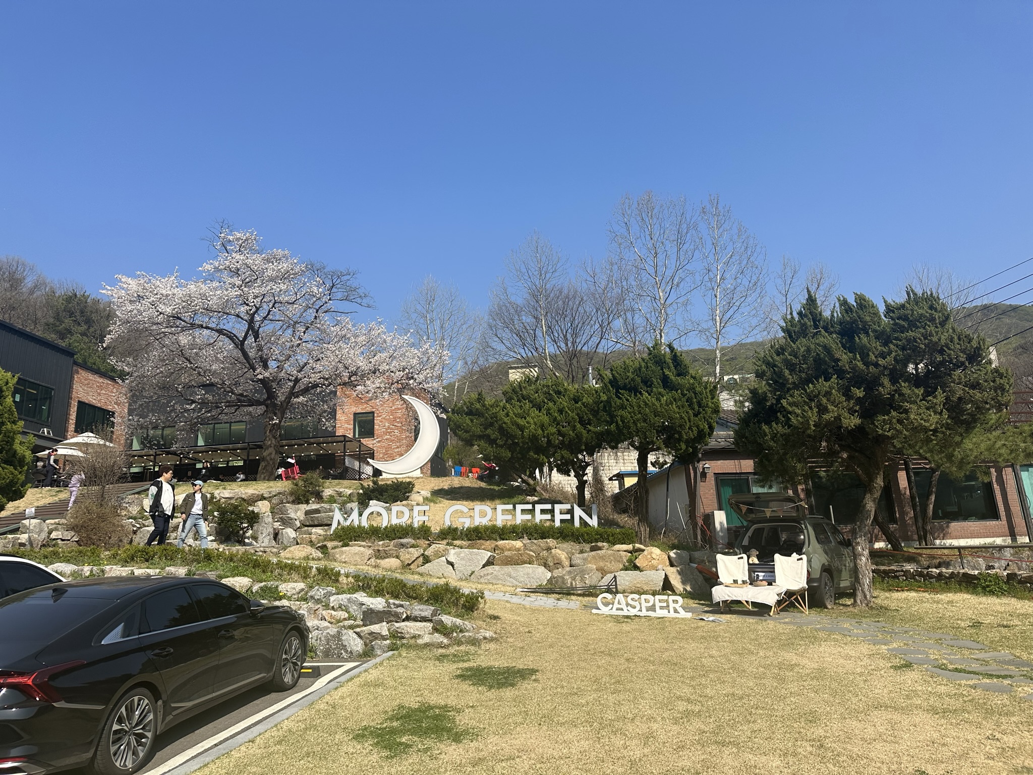  [양주 장흥 맛집] 모어그린 대형 베이커리카페 벚꽃뷰 맛집