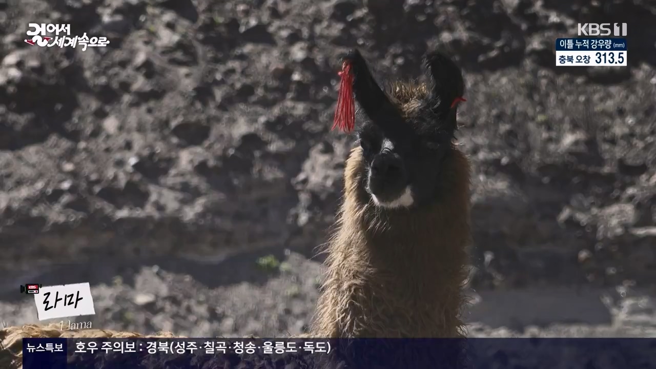 걸어서 세계속으로.E801.230716p-NEXT.mp4_20230724_211713.029.jpg