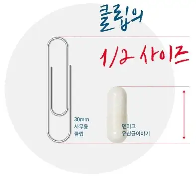 덴마크 유산균이야기 5가지 포인트5