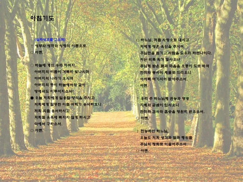 가톨릭 아침 저녁 기도문 모음_1