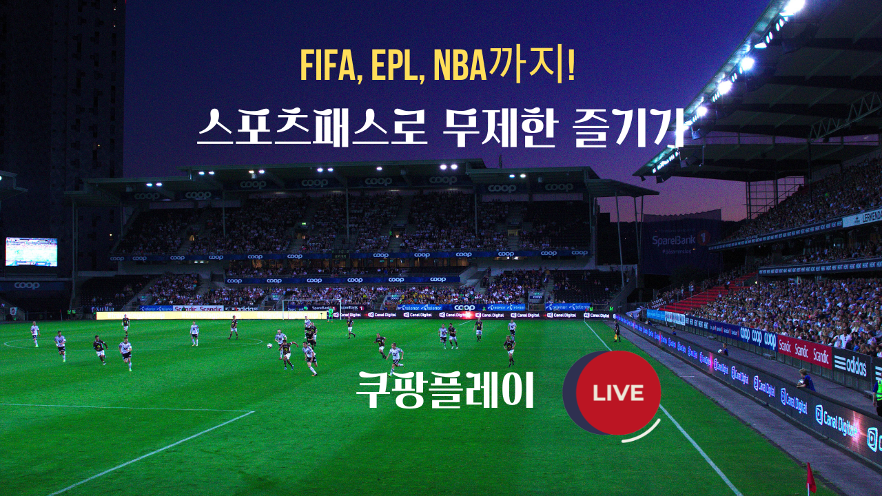 스포츠패스