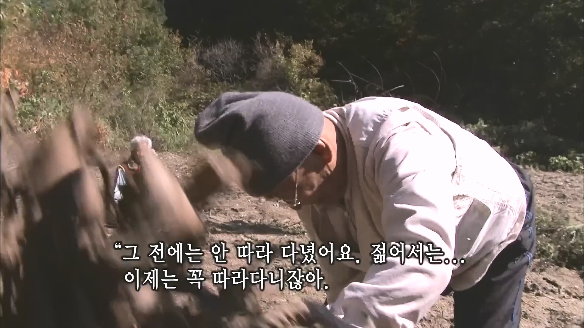 [인간극장 다시보기] 다시 태어나도 서로밖에 없다 하시는 백발의 황혼 부부, 따뜻하고 싱그러운 신혼일기 제2막이 시작된다 KBS 방송.mp4_20240415_133438.084.jpg