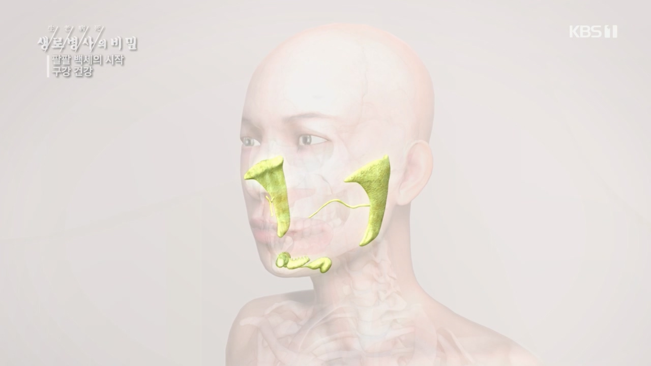 생로병사의 비밀.E894.240118p.H264-F1RST.mp4_20240118_195345.563.jpg