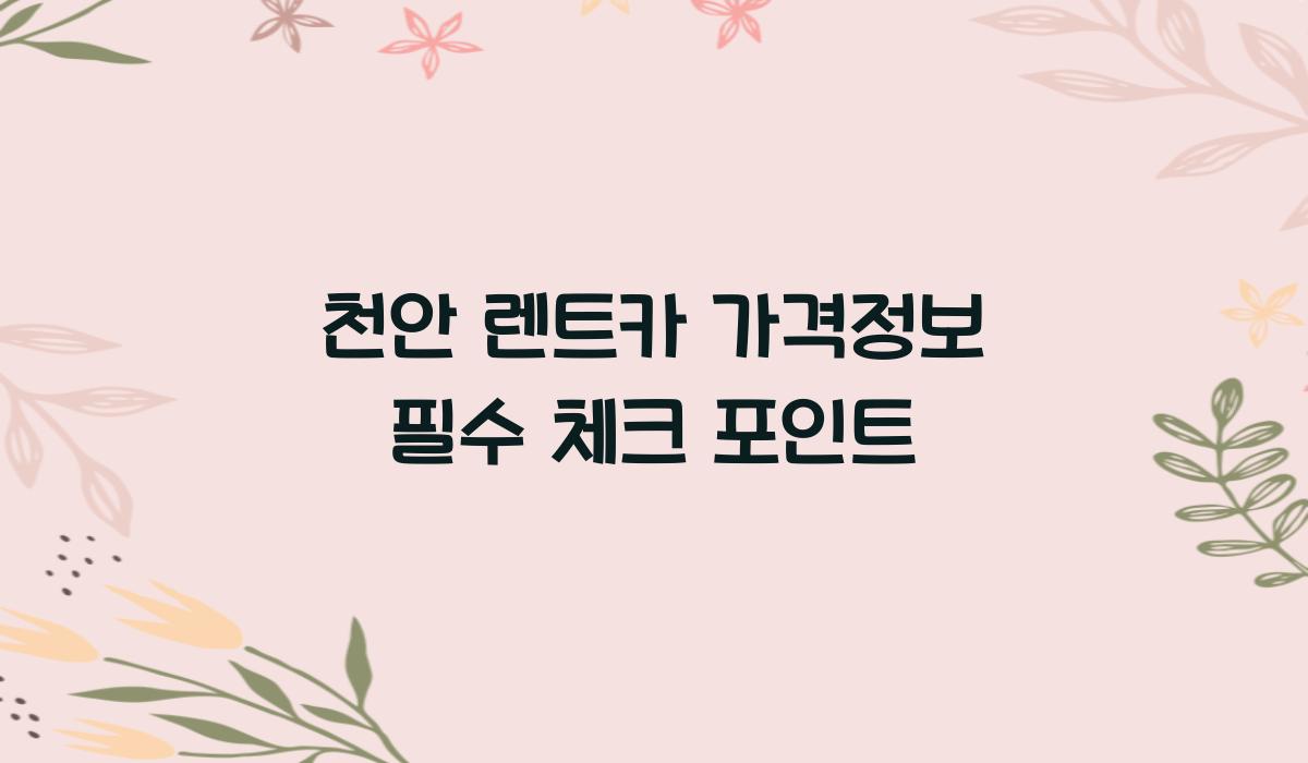 천안 렌트카 가격정보