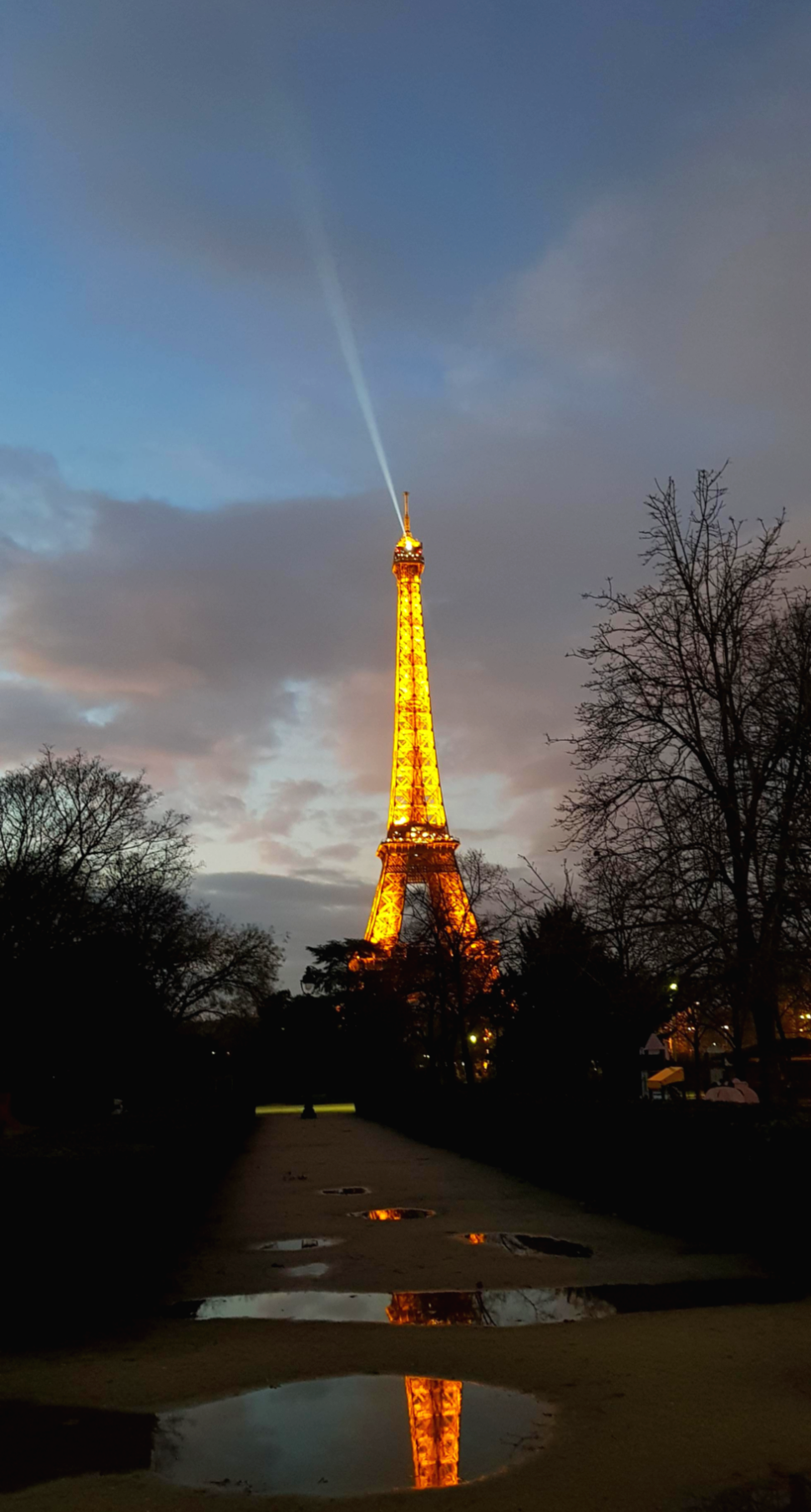프랑스 파리 물웅덩이에 비친 에펠탑