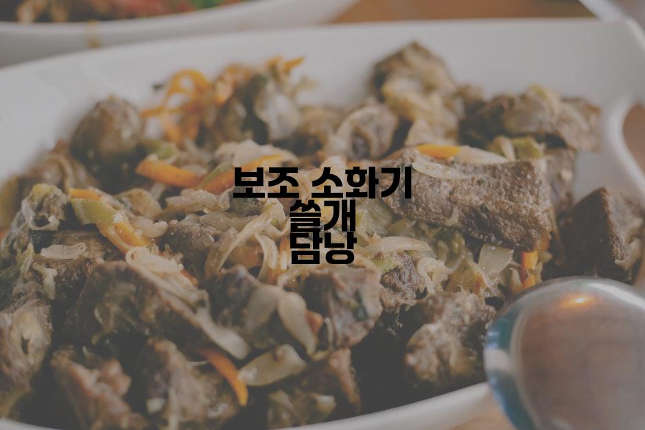보조 소화기 쓸개 담낭