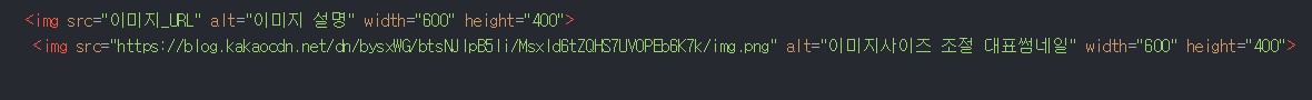 HTML 사이즈 수정 결과 예시