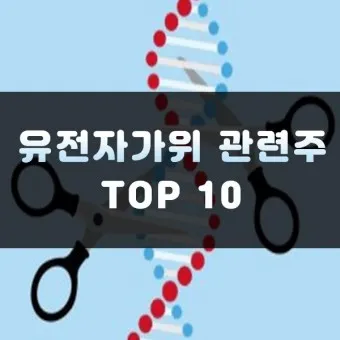 유전자가위 대장주 관련주 TOP5 총정리_4