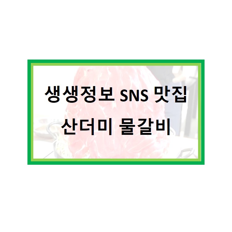  생생정보 산더미 물갈비 위치