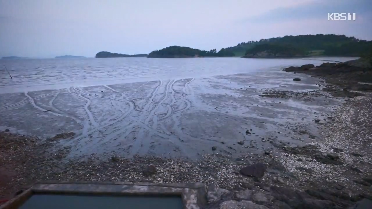 다큐 온.E206.230723p-NEXT.mp4_20230724_211913.721.jpg