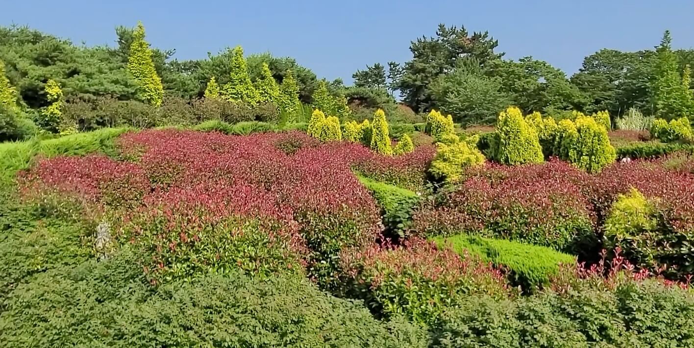 청산수목원