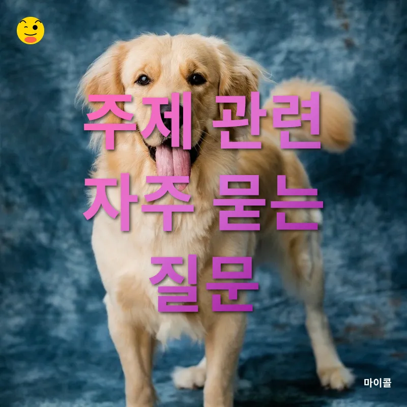 강아지 간식_4