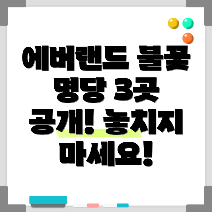 에버랜드 불꽃놀이 명당