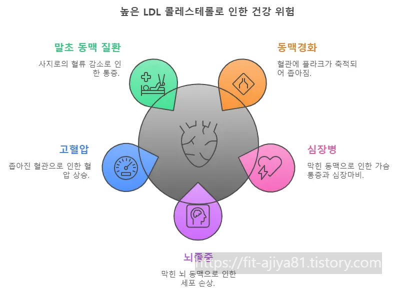 높은 ldl이 건강에 주는 악영향