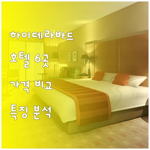 하이데라바드 호텔 6곳 비교분석 특징