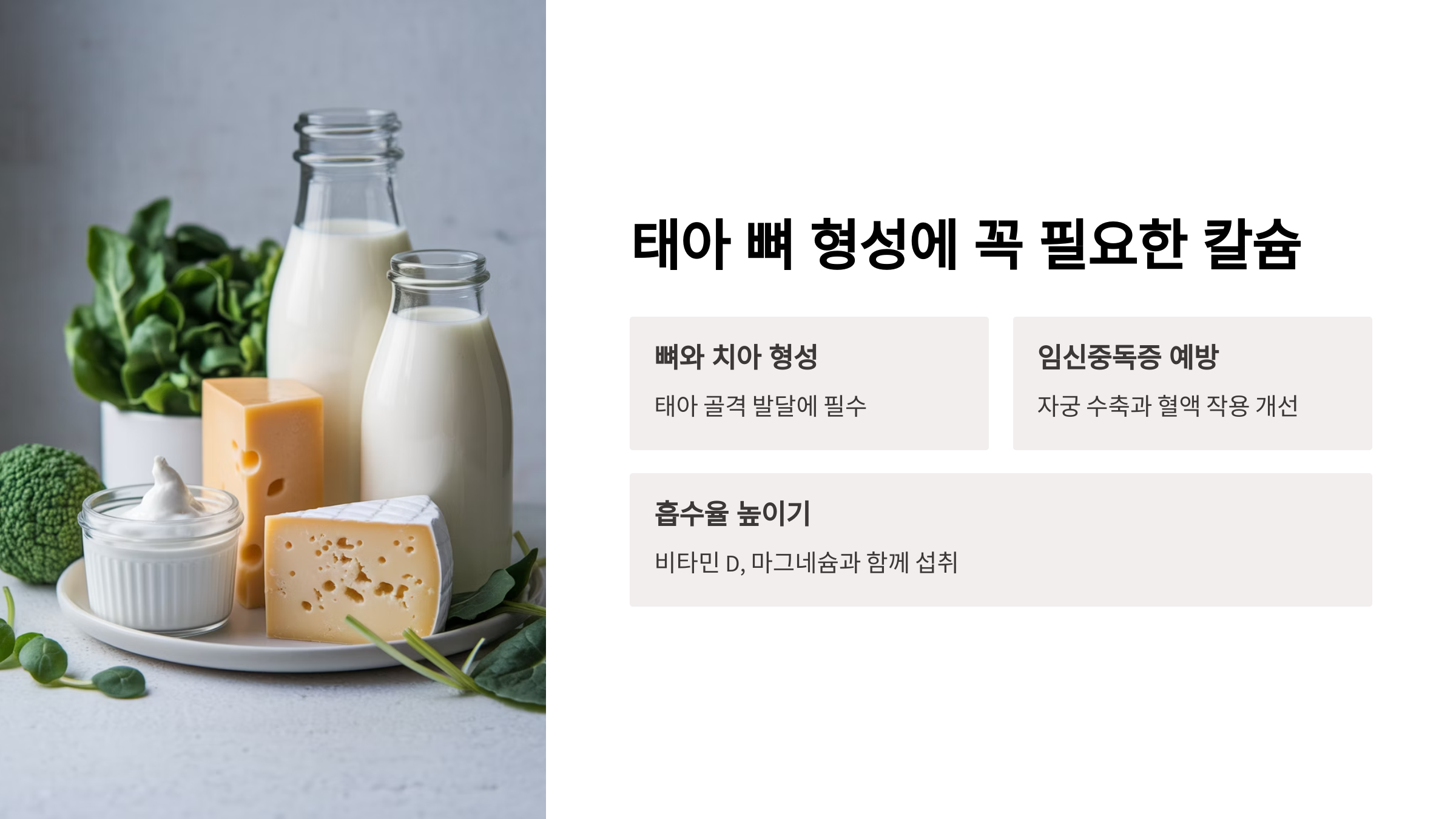 임신 준비 영양소 – 칼슘의 중요성과 흡수 팁