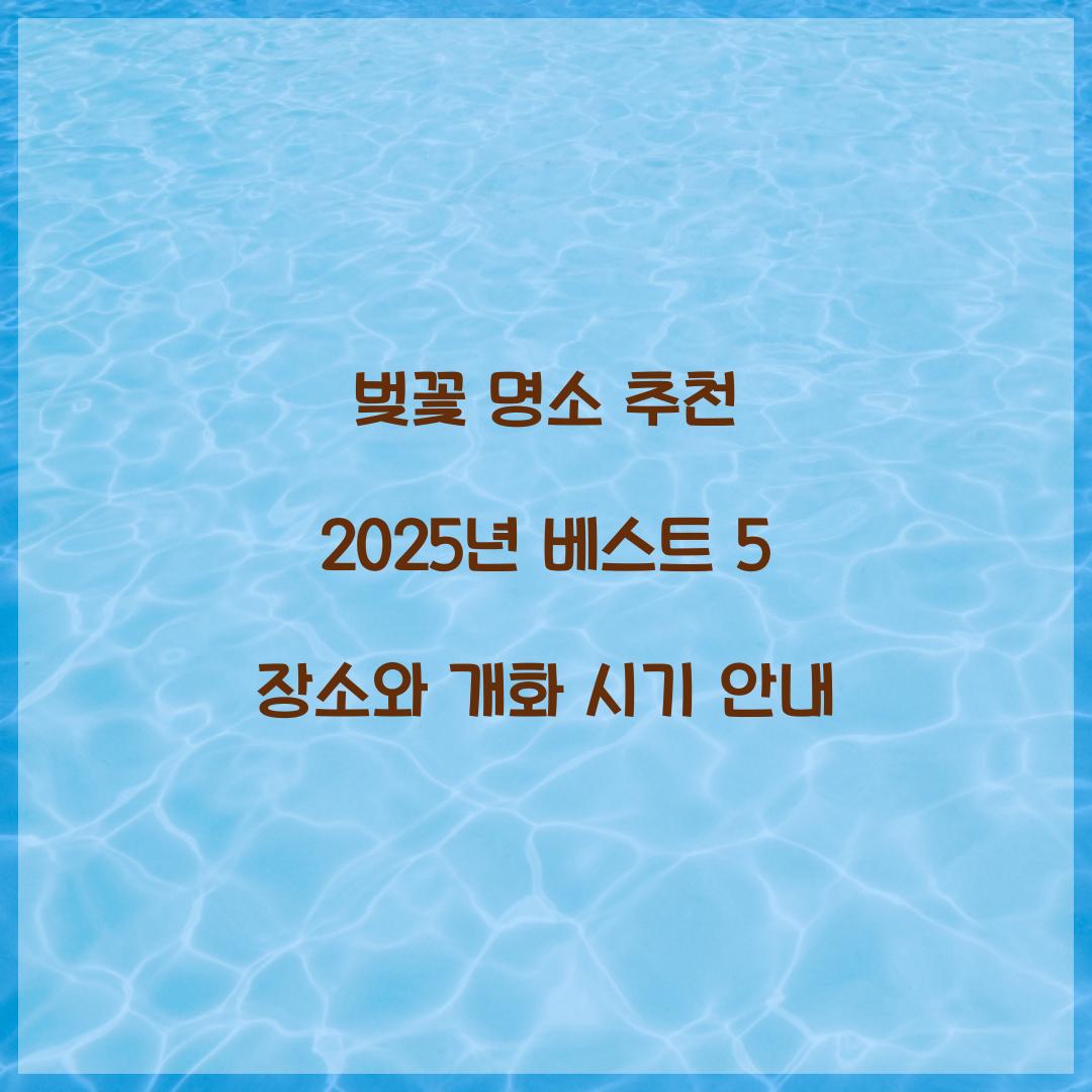 벚꽃 명소 추천