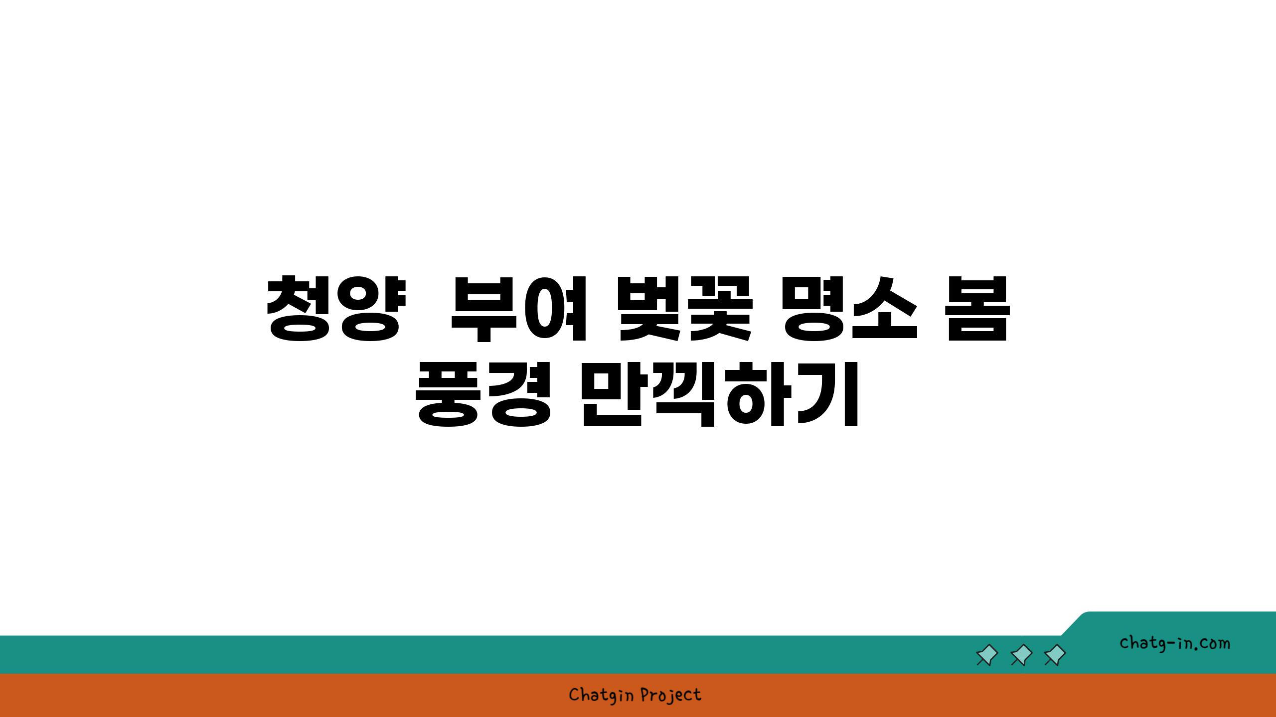 청양  부여 벚꽃 명소 봄 풍경 만끽하기