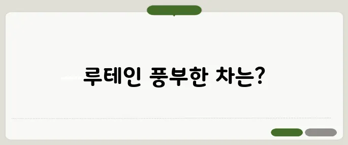 눈에 좋은 차 루테인이 풍부한 차 종류
