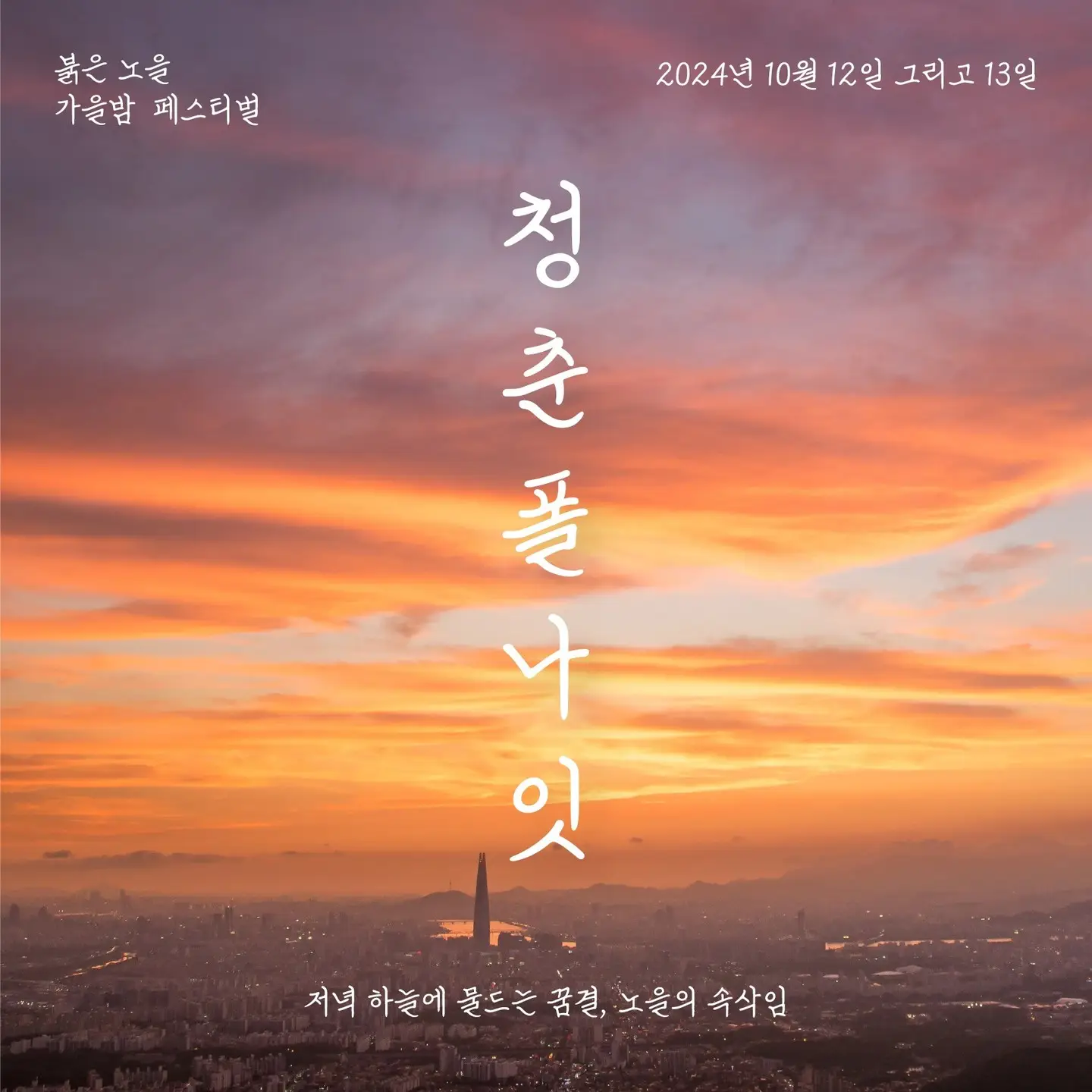 청춘폴나잇 개최 안내 포스터