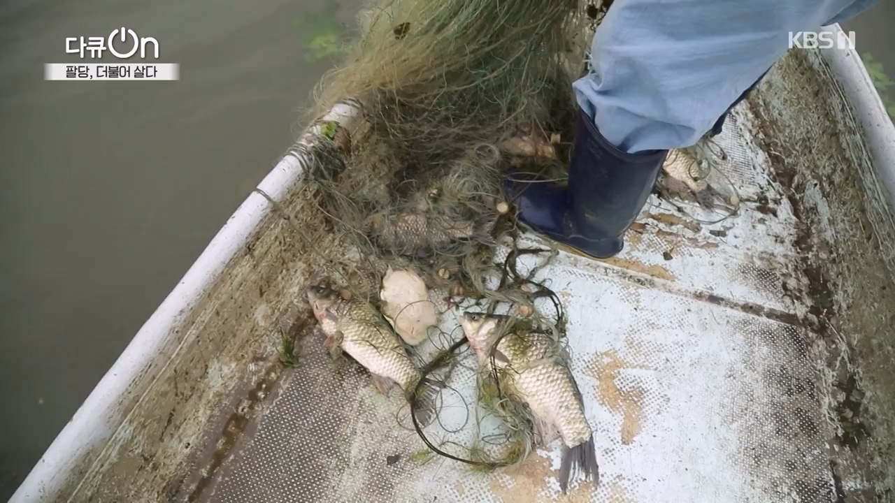 다큐 온.E208.230730p-NEXT.mp4_20230802_202540.514.jpg