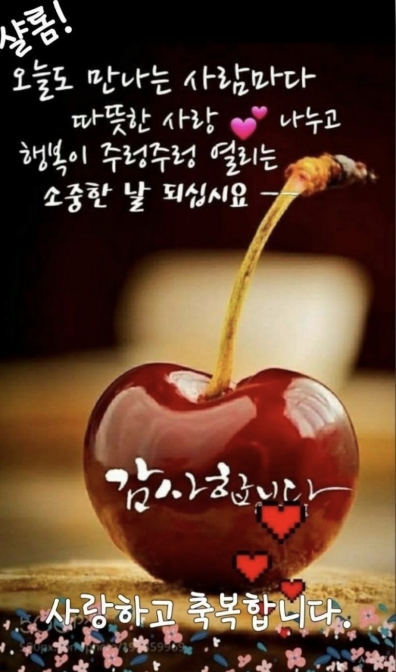 버스기사님ᆢ 너무 너무ᆢ 고맙습니다 나에게도 이런일이ᆢ성남시내 51번 8