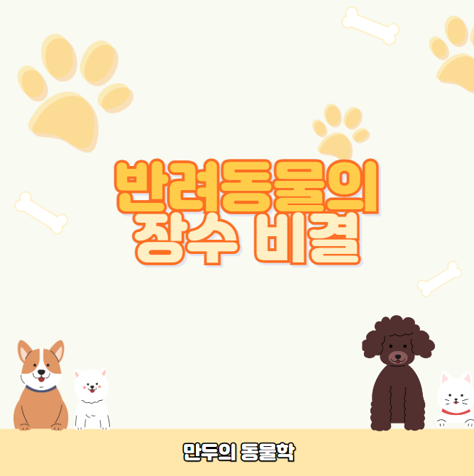 반려동물의장수비결