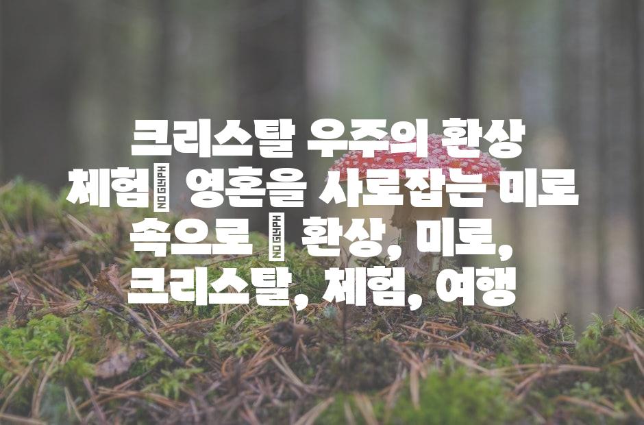 샘플 (42)