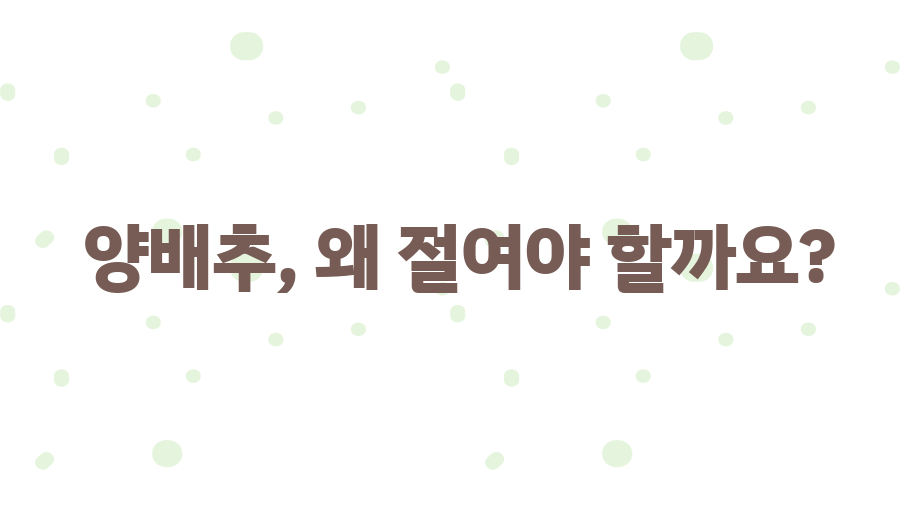 양배추 당근라페, 맛과 건강을 한 번에! 황금레시피 대공개 - 양배추, 왜 절여야 할까요? 양배추 당근라페, 맛과 건강을 한 번에! 황금레시피 대공개 - 양배추, 왜 절여야 할까요?