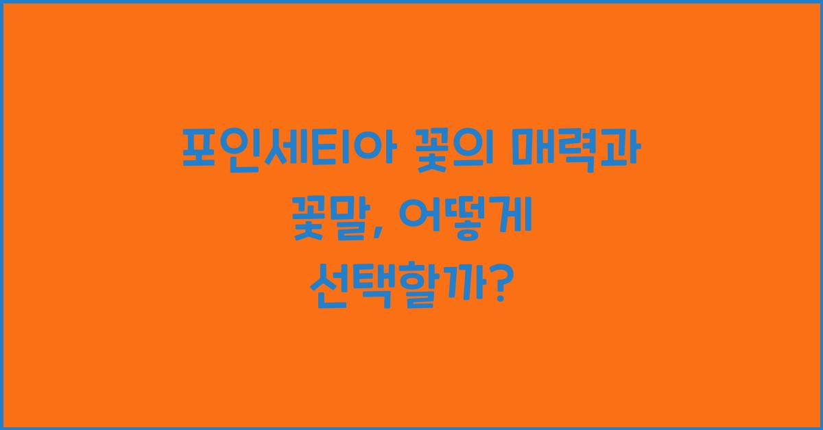 포인세티아 꽃의 매력과 꽃말