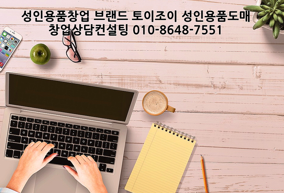  성인용품 창업 비용 온라인 자동상품관리 토이조이 성인용품도매