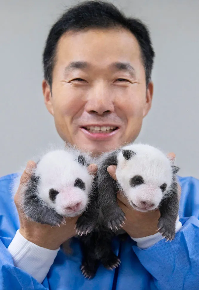 푸바오와 할부지 - 강철원