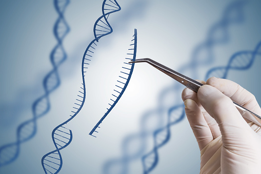  생물정보학(Bioinformatics) 회사