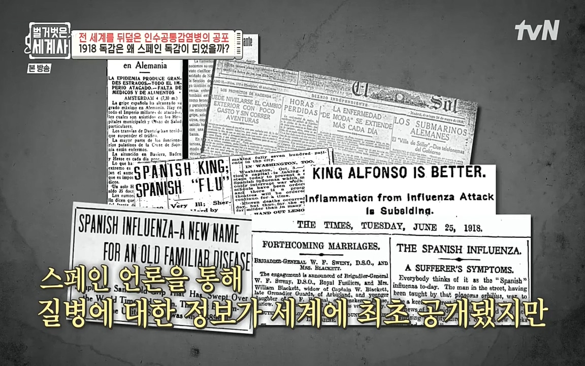 벌거벗은 세계사.E59.220810p-NEXT.mp4_20220810_212428.892.jpg