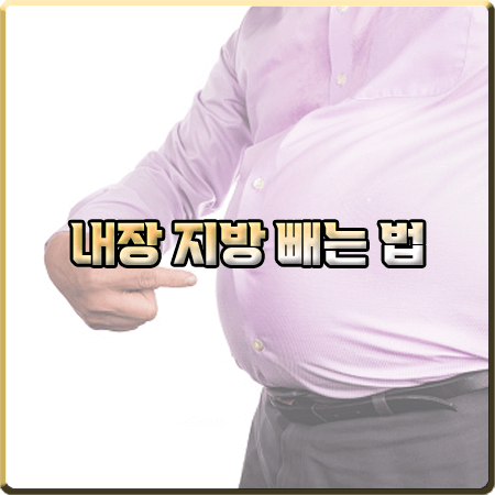  내장 지방 빼는 법 3가지 : 효과적인 운동법과 식습관 개선