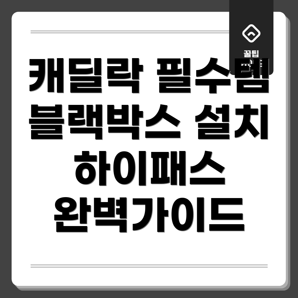 캐딜락 블랙박스 설치